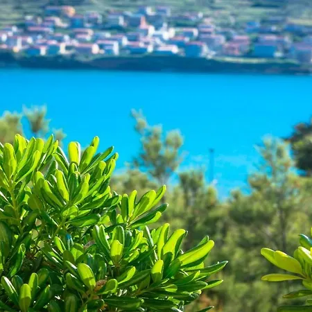 Basaca